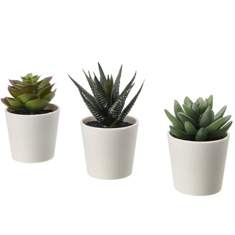 Ikea Fejka 3 faux Succulent Plants - Picture 1 of 7